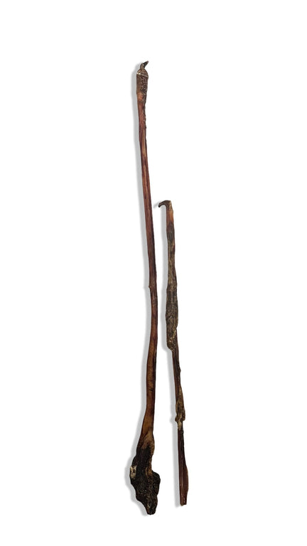 Ochsenziemer ab 12 cm Stücke bis 110cm lange ganze Ziemer mit Fleisch - Kallisbest