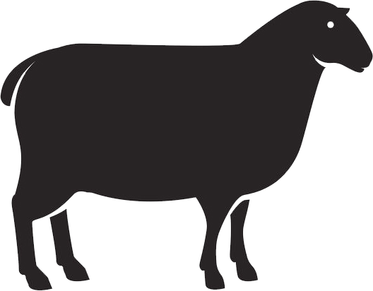 Lamm Pur Nassfutter für Hunde von kallisbest, zeigt eine Schale mit feinem Lammfleisch und frischen Zutaten.