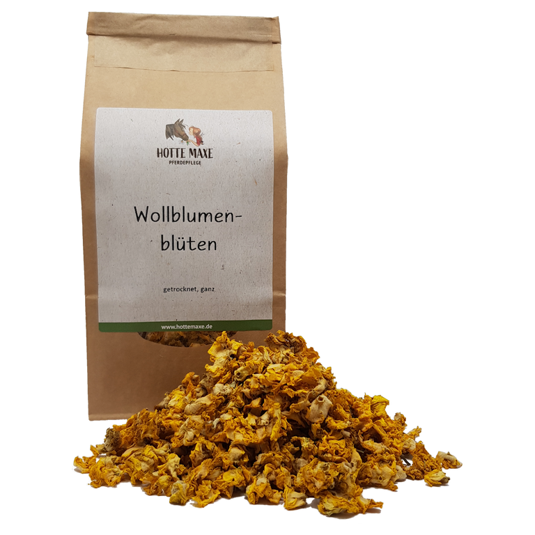 Hotte Maxe Einzelkräuter Wollblumenblüten/Königskerze, getrocknet, ganz