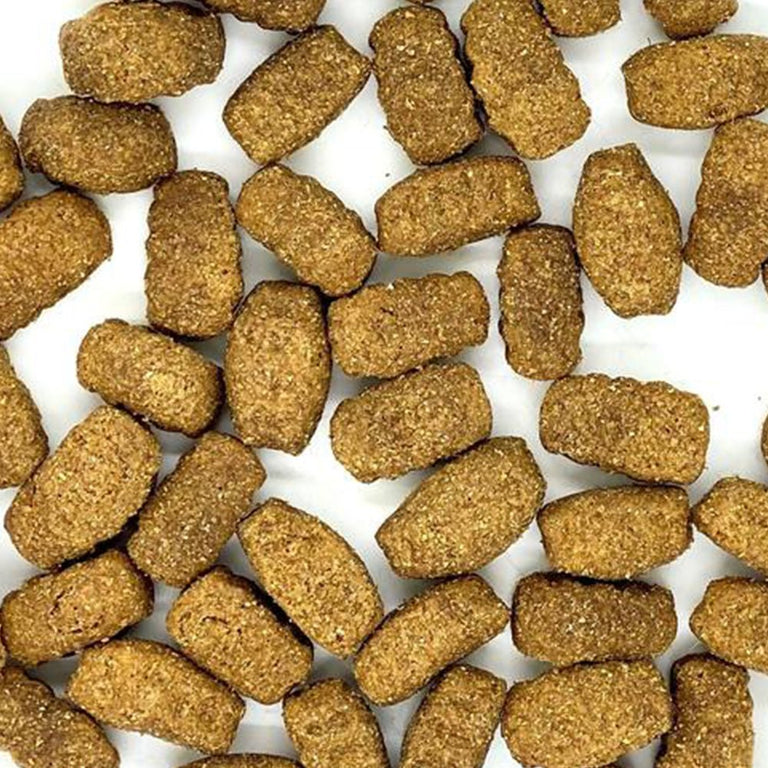 Kallisbest große Kroketten mit Rind und Reis für Hunde, Trockenfutter in einer Schüssel, geeignet für alle Rassen.